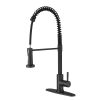 Kitchen Faucet with Pull Out Spraye-dk